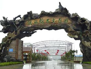 生態(tài)園的靈魂構(gòu)筑 解析假樹大門的設(shè)計(jì)與營(yíng)造