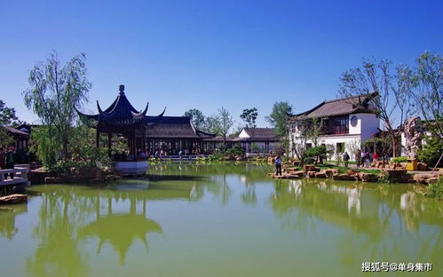 超浪漫 盤點(diǎn)深圳23個(gè)約會(huì)圣地,在這里每天都是情人節(jié)